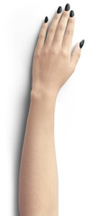 Elegant White Hand Illustration with Ink and Amethyst Accents