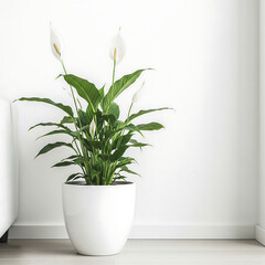 Handcrafted Pot Holding Mini Houseplant