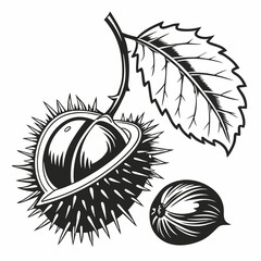 Black and white illustration of horse chestnut