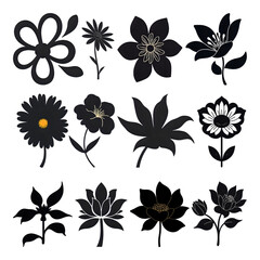 Obraz premium black and white flowers set.set of flower icons.
