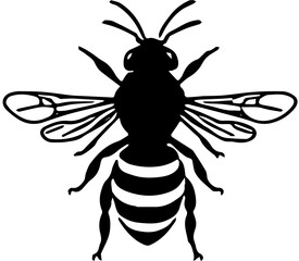bee vector illustration