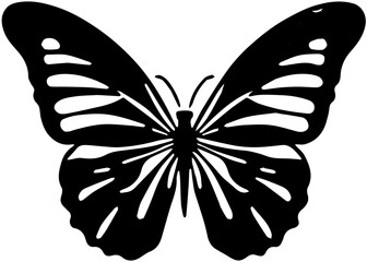 butterfly vector illustration