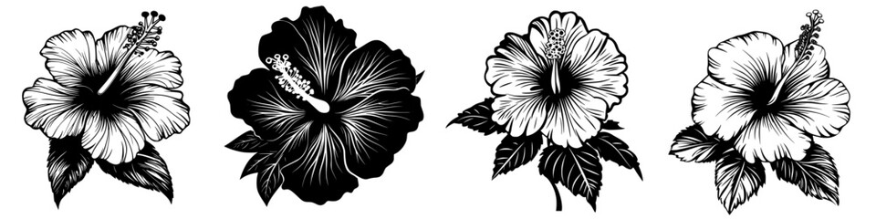 Black vector icon of hibiscus flowers in various styles showcasing intricate details and a classic design aesthetic