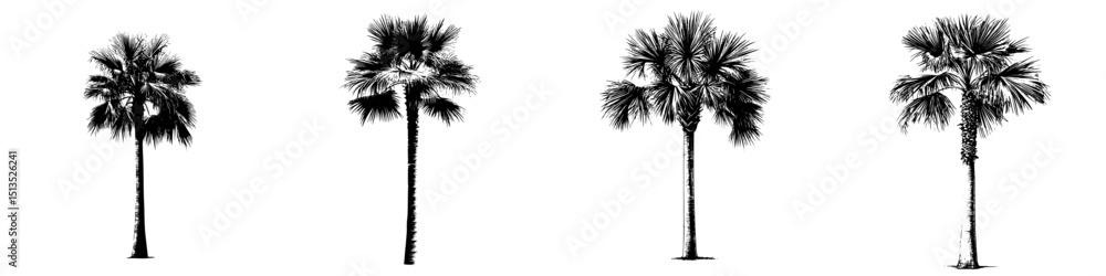 Poster black vector icons depicting four distinct palm trees suitable for graphic design and illustration u