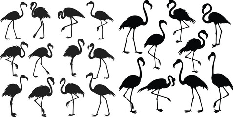 Flamingos standing in different poses. Birds clipart, icons, symbol, logo. monochrome vector illustration flat collection