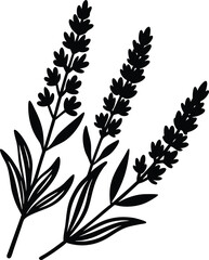 set of black silhouettes of plants
