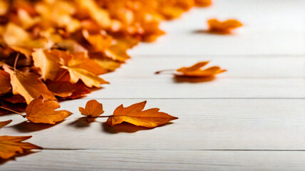 Obraz premium a collection of orange dry autumn leaves on a white table, dry autumn leaves