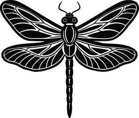 dragonfly on a white background