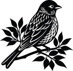 vector illustration of a bird