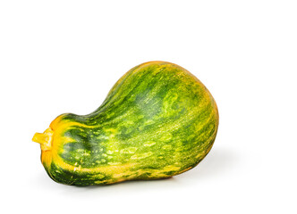 Pumpkin isolated on white background, contour