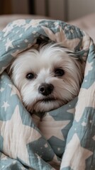 Sweet Puppy Wrapped in Star Blanket Cocooned in Cozy Comfort and Warmth on a Relaxing Day