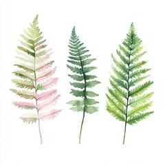 Watercolor Ferns Artistic Illustration Nature Inspired Fresh Green Leaves Painting Botanical Design