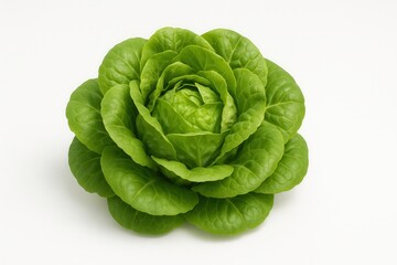 Obraz premium Fresh Green Butter Lettuce Forming a Perfect Rose Shape on White Background