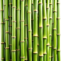 Obraz premium Bamboo Stalks Arranged Vertically On White