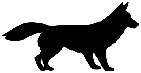Wolf silhouette isolated on transparency