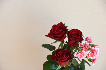 薔薇とカーネーション