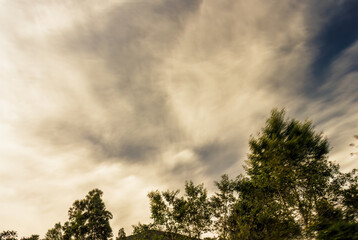 Soft clouds over the tree canopy at sunrise, composite of multiple exposure images, in the eastern...