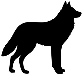 Wolf silhouette isolated on transparency