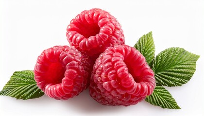 image of raspberries on a white background