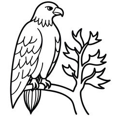 Fototapeta premium beautiful eagle bird vector illustration