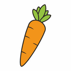 Single carrot illustration design isolated on white background
