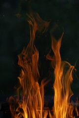 Mesmerizing Flames of a Campfire at Night