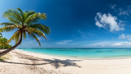 panorama banner photo of idyllic tropical beach with palm tree