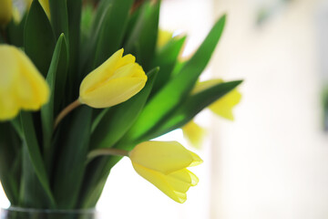 Bright Yellow Tulips in Vase with Green Leaves on Sunlit Background