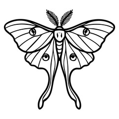 Luna Moth Doodle - Order Lepidoptera