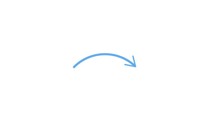 vector illustration of a bird