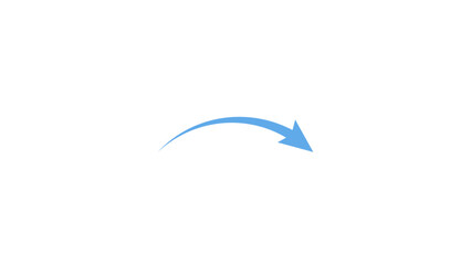 vector illustration of a flying bird