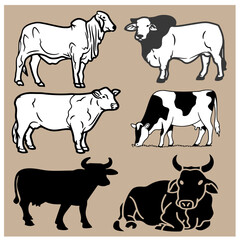 Cow vector set 2