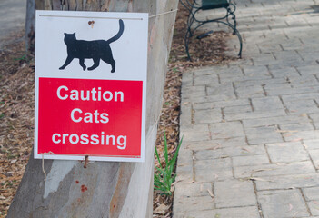 Sign advising caution for cats crossing the road