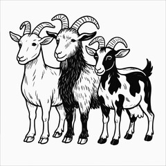Vector Illustration of Three Goats – Hand-Drawn Farm Animal Line Art