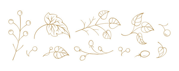 Fototapeta premium Vector line art elements of wild garden plants, twigs, and leaves in a freehand style. Suitable for packaging, social media templates, eco branding, and DIY crafts.