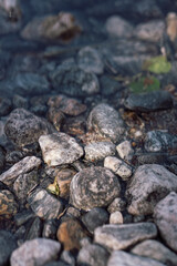 Close-up of lake shore rocks with water in the background
