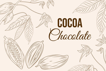 Beige background with an outline drawing of cocoa beans and leaves, decorated with the text 