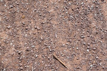Gravel and sand creating a textured ground surface