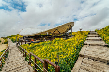 External view of Gobeklitepe in Sanliurfa province of Turkey.Gobeklitepe among flowers.