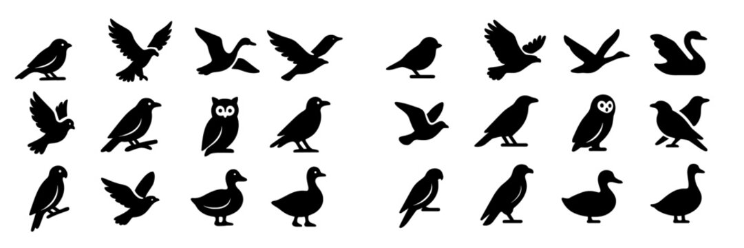 Various bird silhouettes in different poses highlighting diversity among bird species