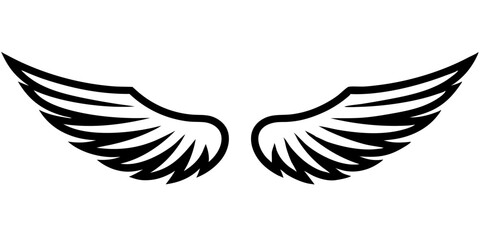 vector illustration of a wings