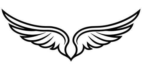 wings vector illustration