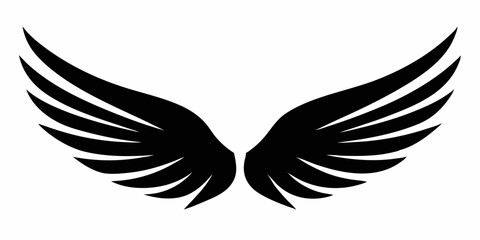 wings vector illustration