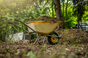 Yellow wheelbarrow in the garden. Garden wheelbarrow full of mulch. Summer garden in background.
