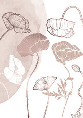 A4, A3, poppy bouquet vector hand drawn illustration. Art print with elegant line art red and yellow summer flowers. Highly detailed and high quality graphic asset for online and print. 