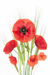 Czerwone maki polne i kłosy zboża, bukiet, na białym izolowanym tle, dekoracja, tło.  © Elżbieta Kaps