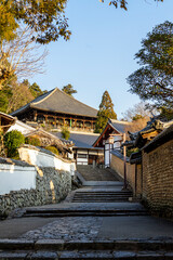 A back alley in the city center of Nara, Japan