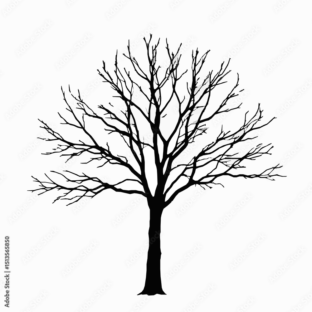 Poster silhouette of a bare tree with intricate branches depicted in a minimalist black and white style ide