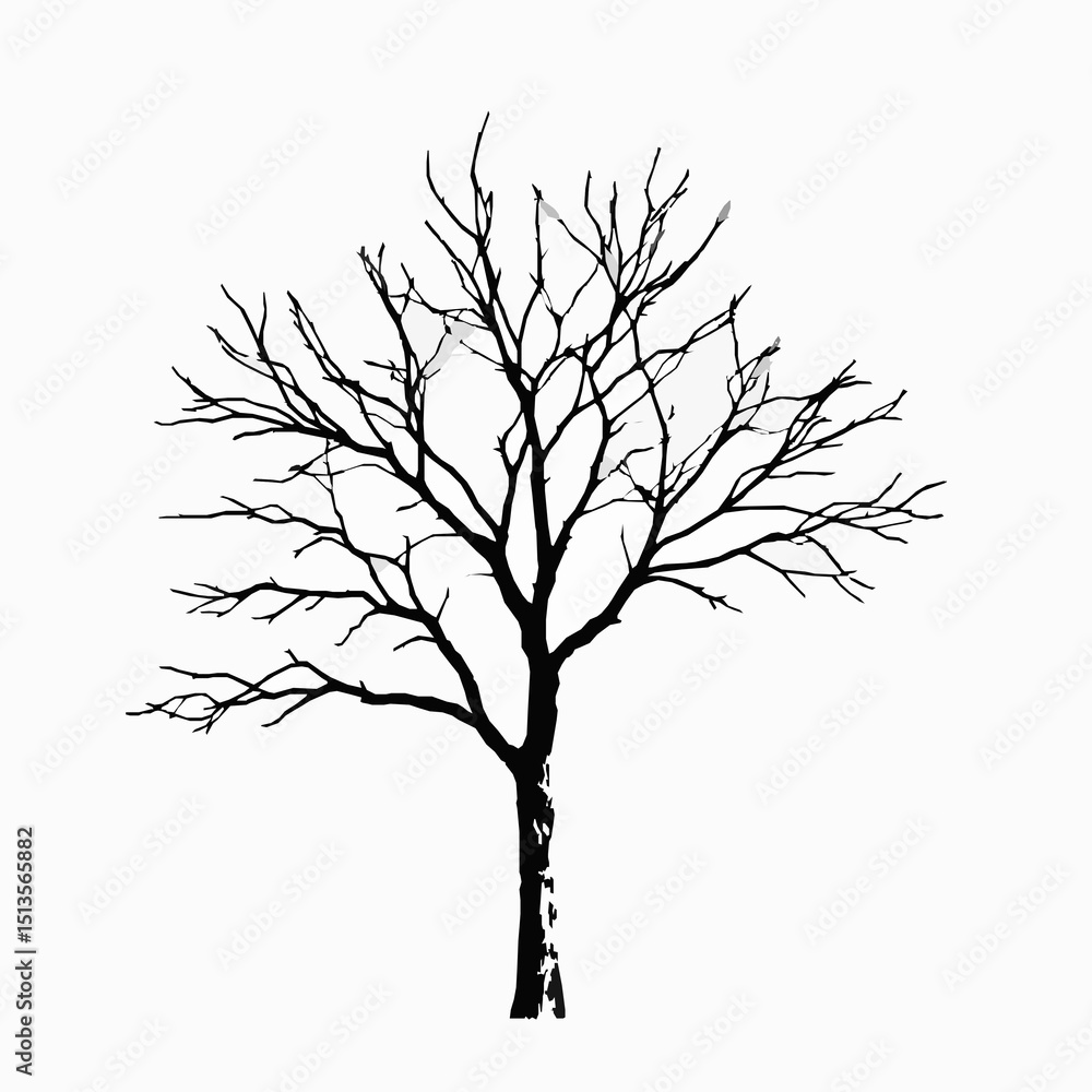 Poster silhouette of a bare tree with intricate branches and a textured trunk against a clean white backdro