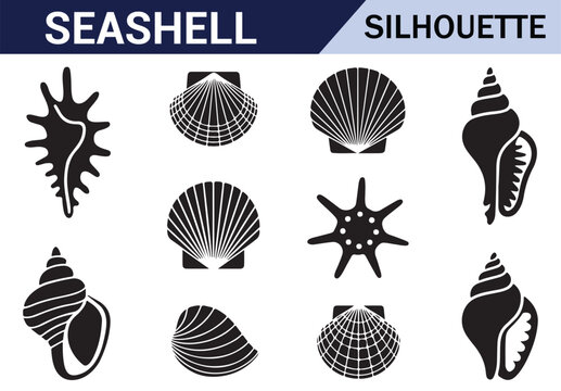 Variety of black and white shell and starfish silhouettes with intricate designs on a white background